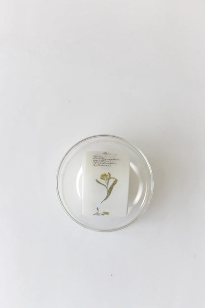 Washi Tape | Tape J - Herbarium