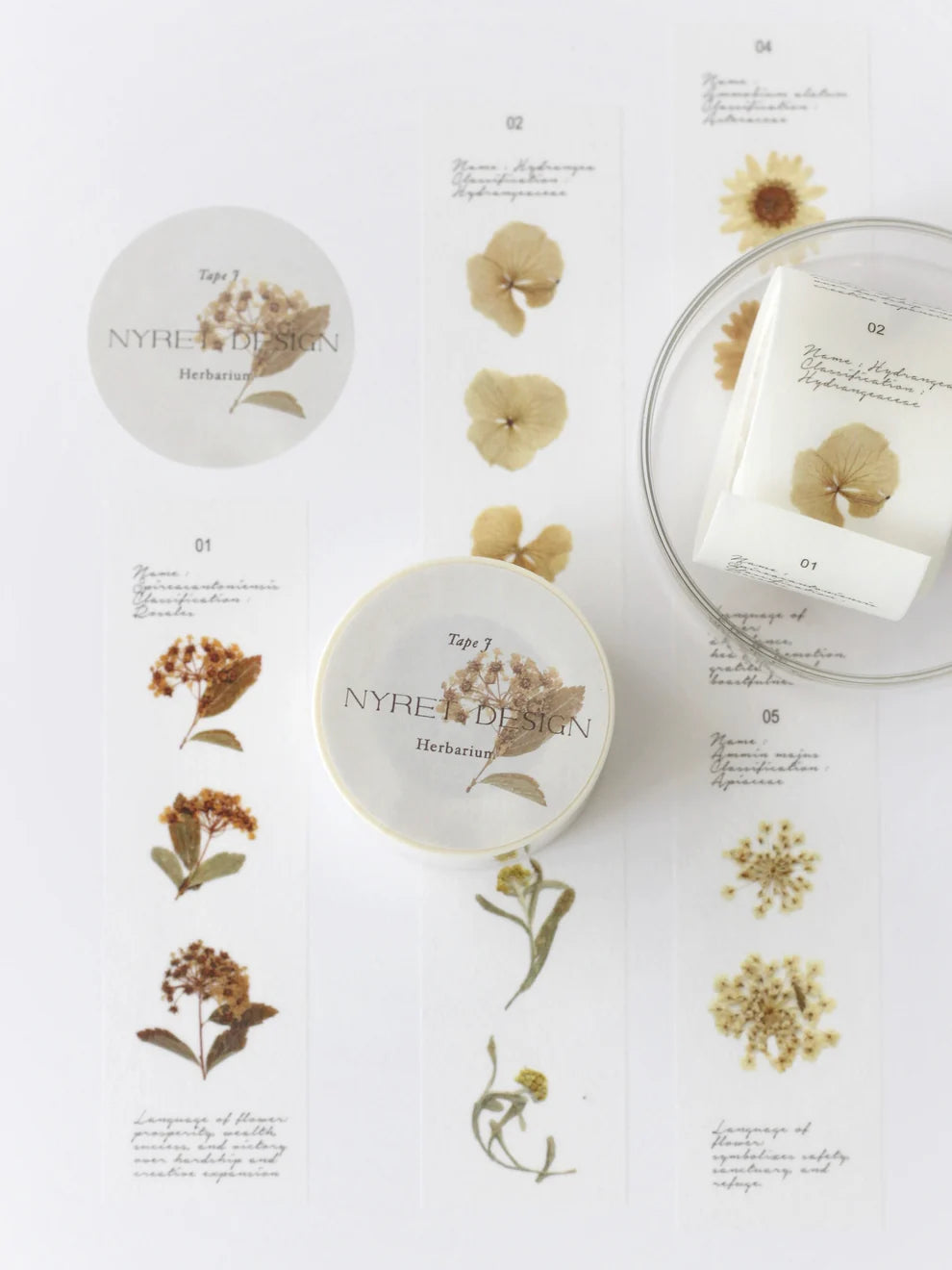 Washi Tape | Tape J - Herbarium
