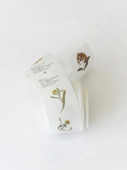 Washi Tape | Tape J - Herbarium