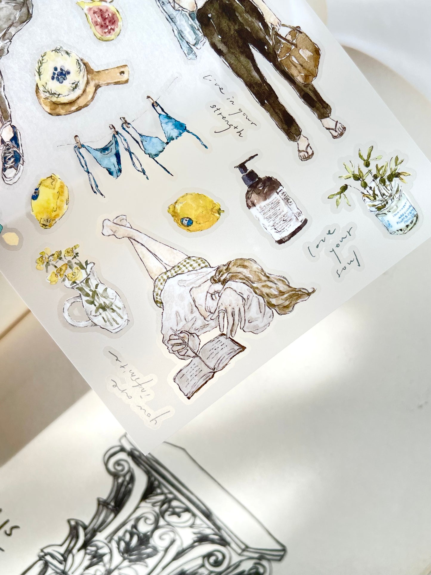 Transfer Stickers | Chill II vol.1