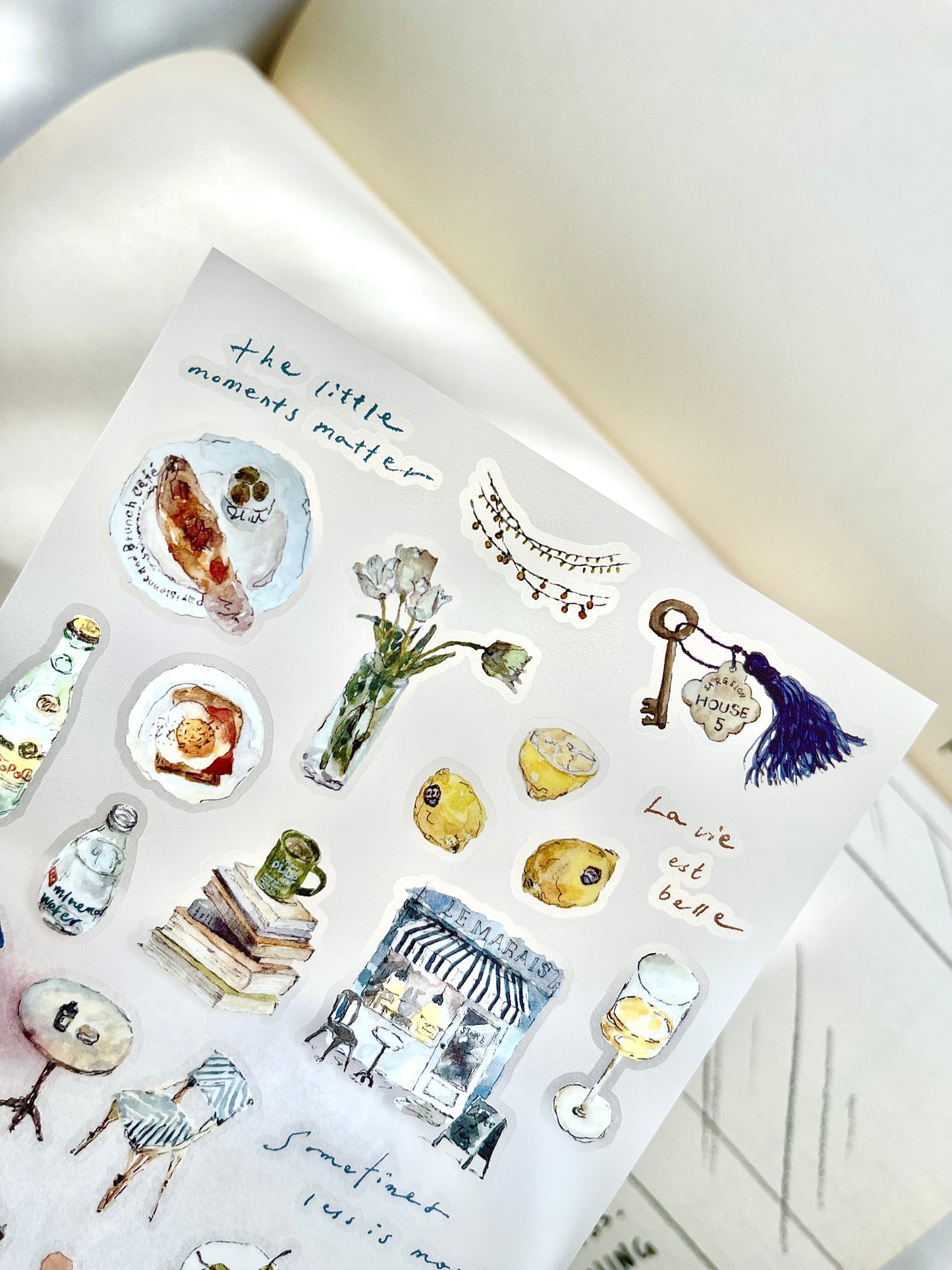 Transfer Stickers | Chill II vol.2