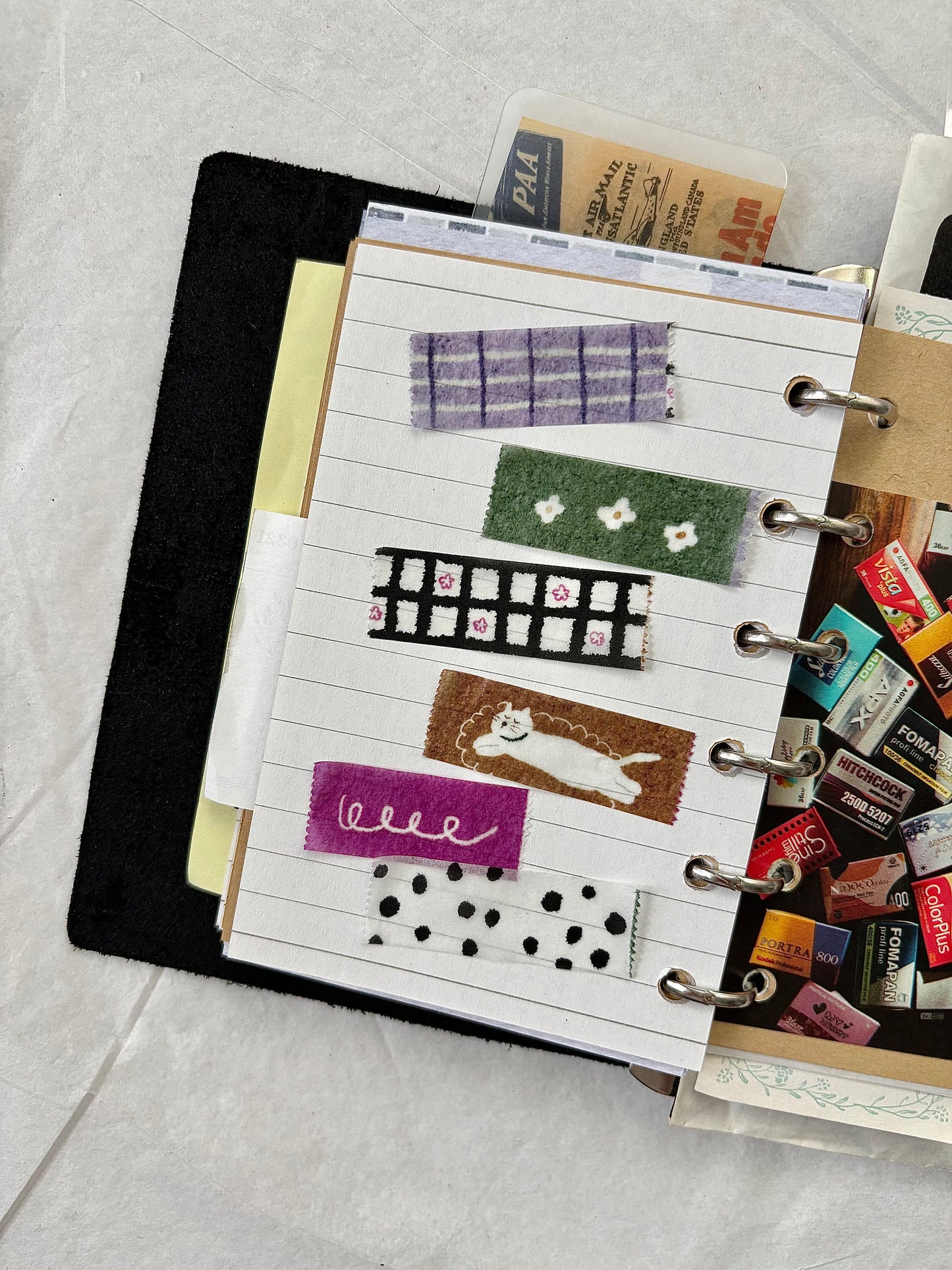 (Stocks In transit) Pion Washi Tape | Deco: Cat on the Rug (1.5cm) (2 designs)