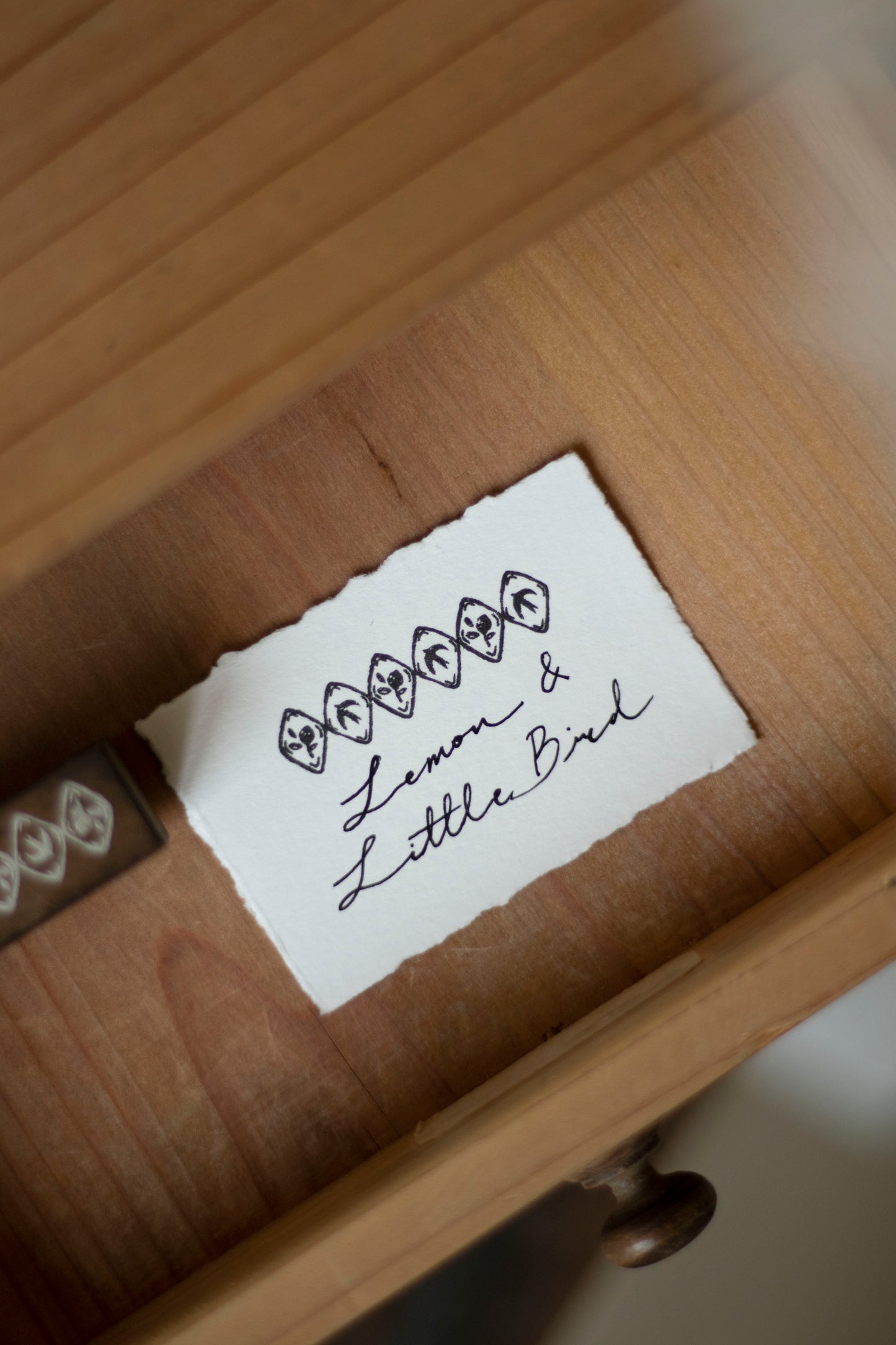 Loi Design Stamps | Lemon Collection (4 designs)