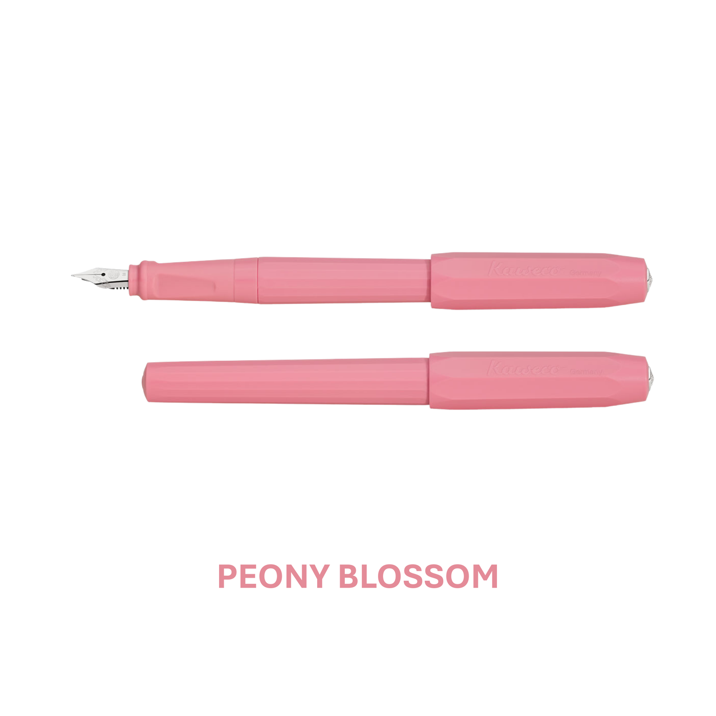 Fountain Pen | Perkeo