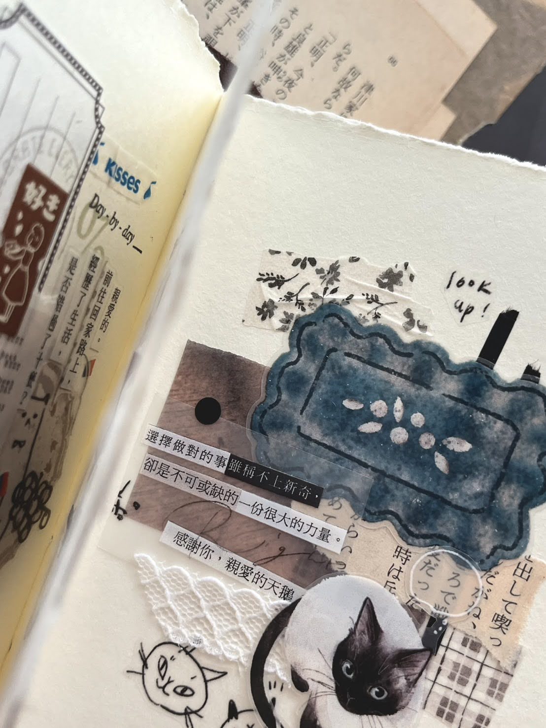 Matte PET Tape | Plate shop (5cm)