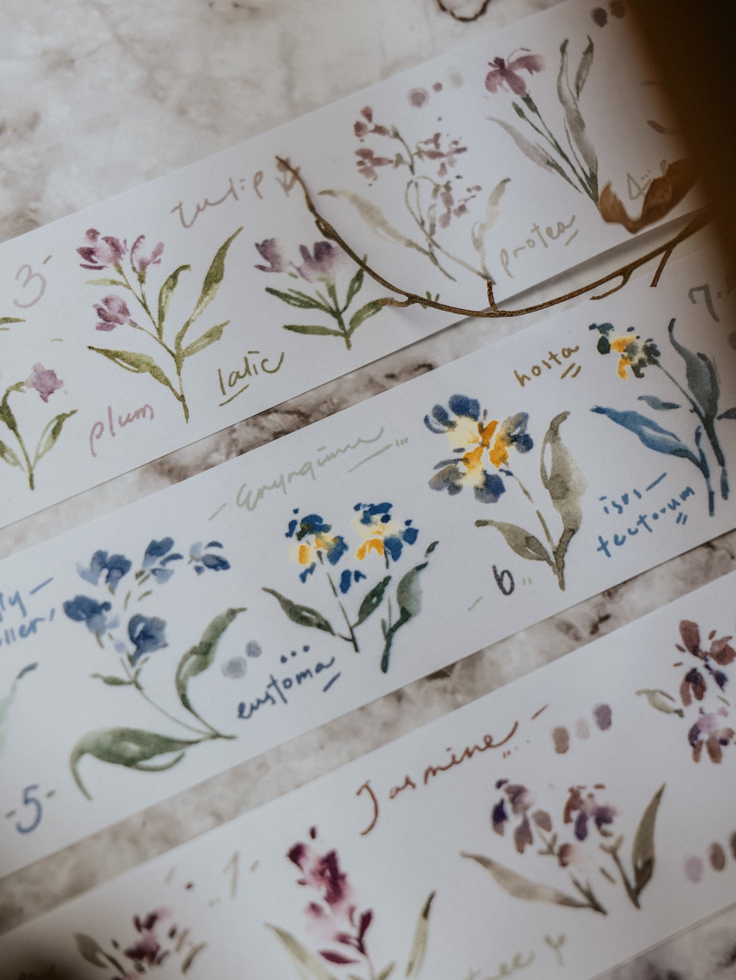Washi Tape | Garden Journals (4cm)