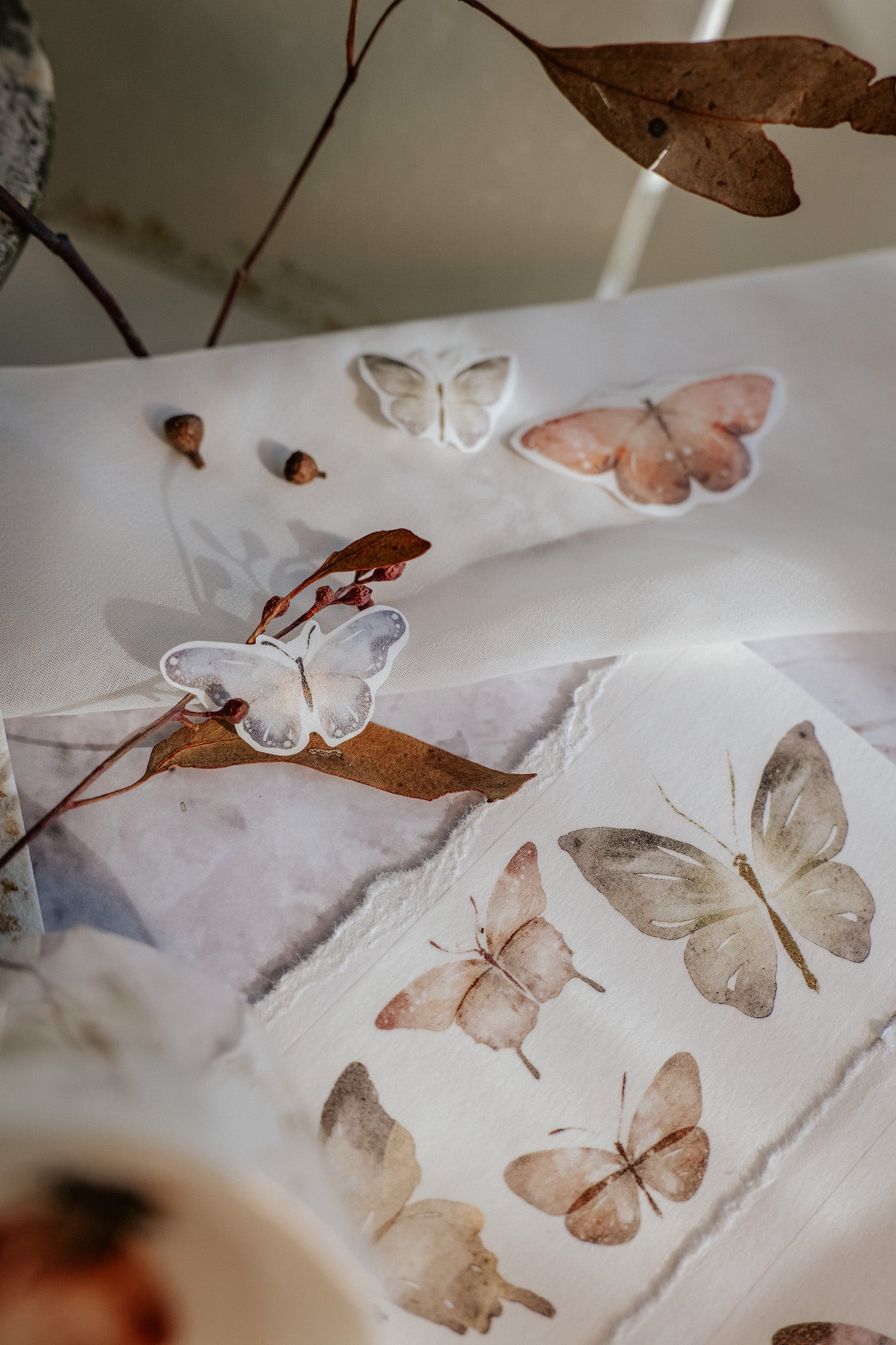 Washi Tape | Beautiful Butterfly (5cm)