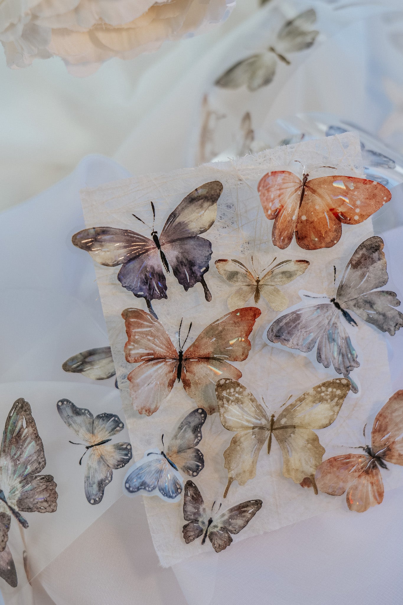 Glossy PET Tape | Beautiful Butterfly (5cm) (with Iridescent foil)