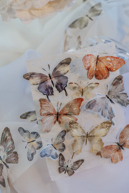 Glossy PET Tape | Beautiful Butterfly (5cm) (with Iridescent foil)