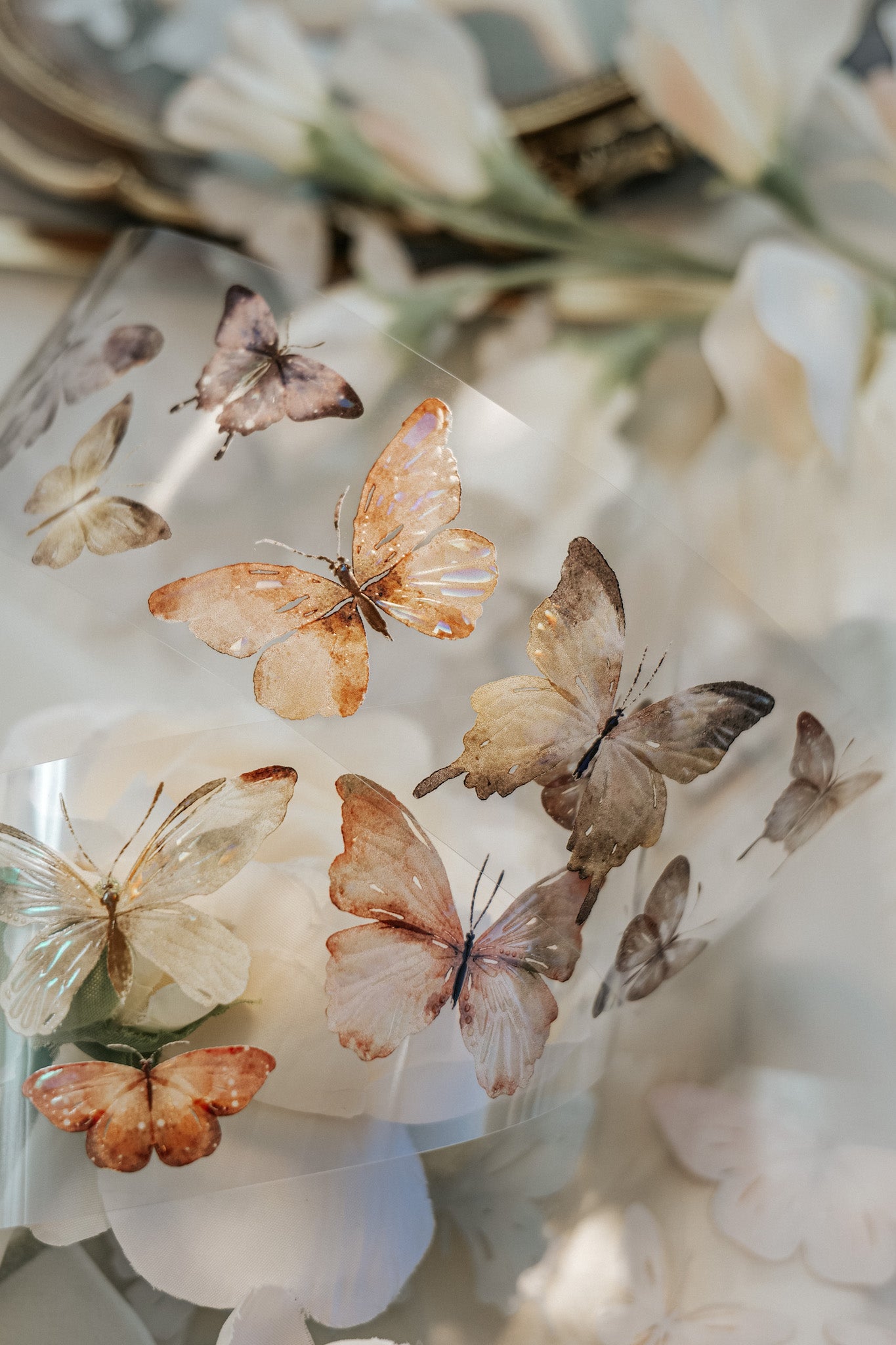 Glossy PET Tape | Beautiful Butterfly (5cm) (with Iridescent foil)