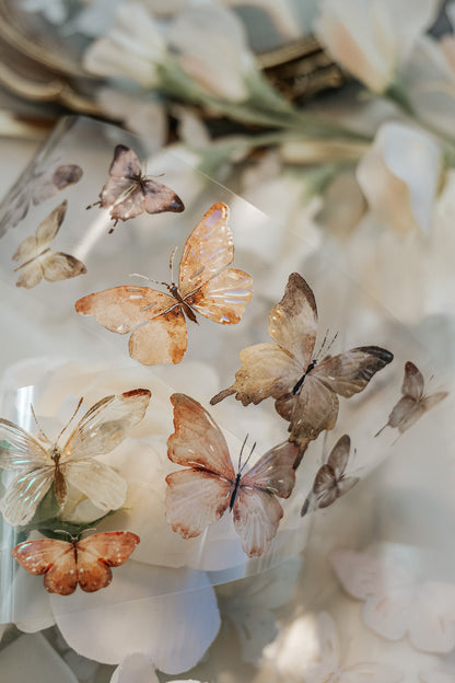 Glossy PET Tape | Beautiful Butterfly (5cm) (with Iridescent foil)