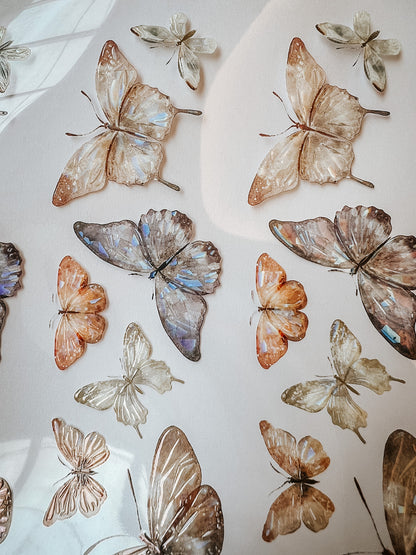Glossy PET Tape | Beautiful Butterfly (5cm) (with Iridescent foil)