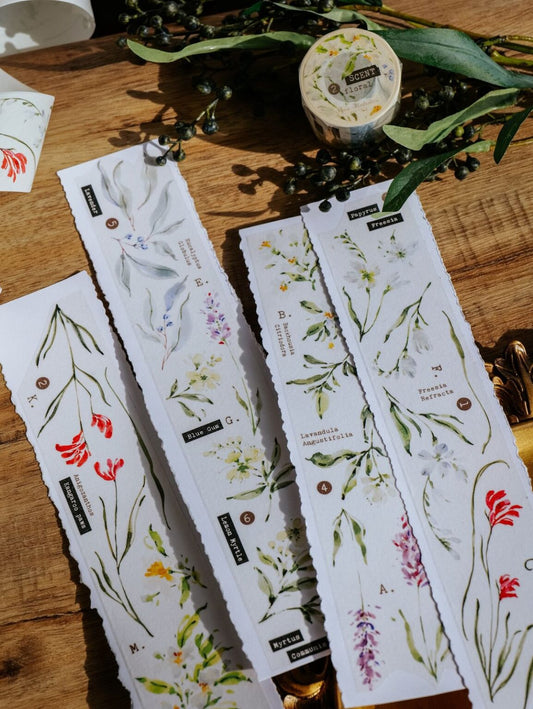 (PRE ORDER) Washi Tape | Scent.floral (5cm)