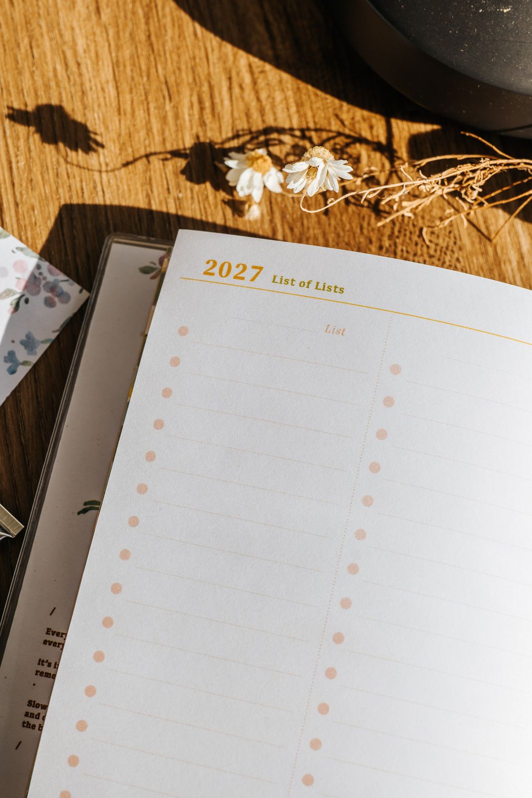 (PRE ORDER) Meow Illustration 2027 The Perfect Home Weekly Planner Schedule Book