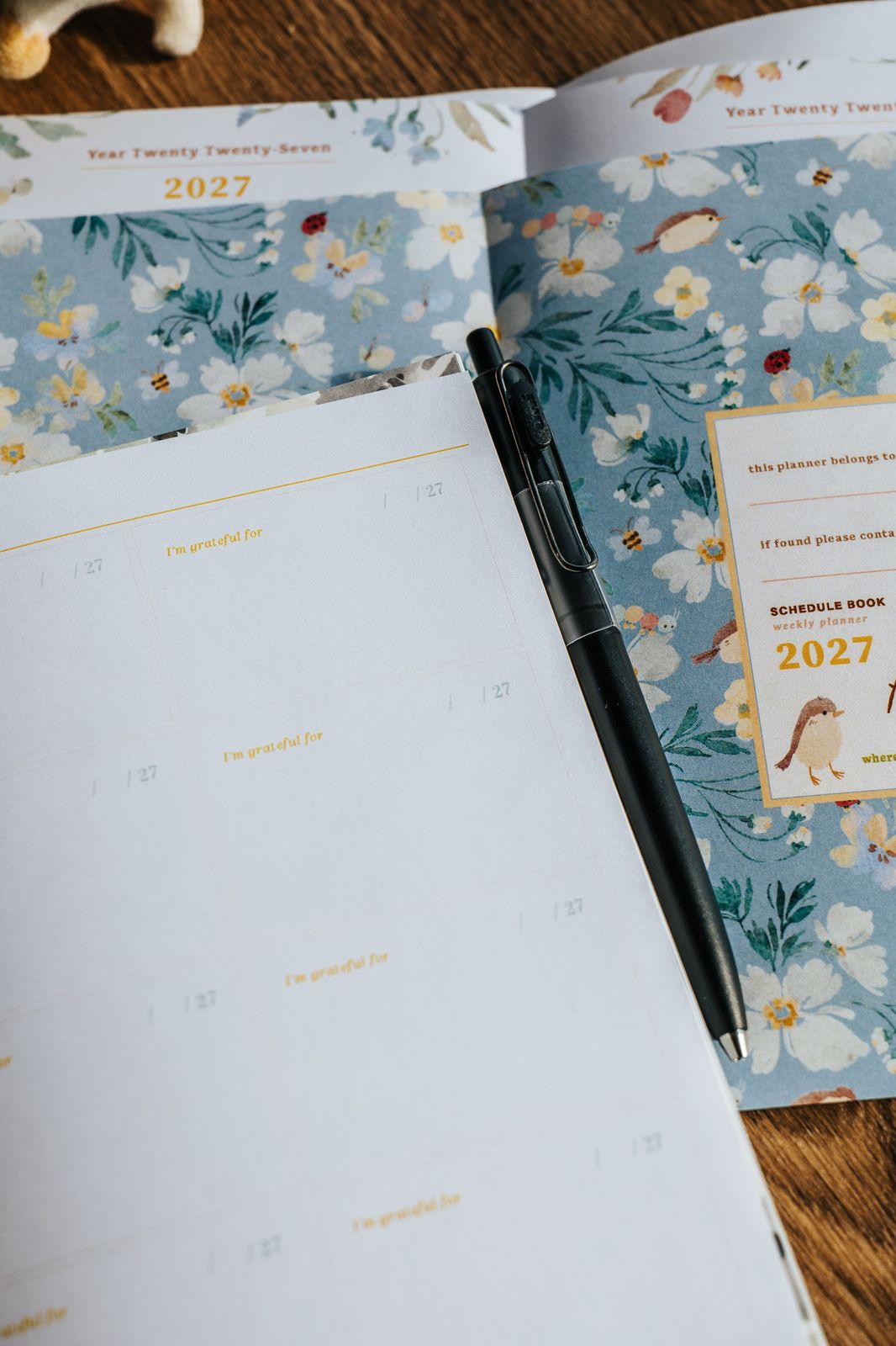 (PRE ORDER) Meow Illustration 2027 The Perfect Home Weekly Planner Schedule Book