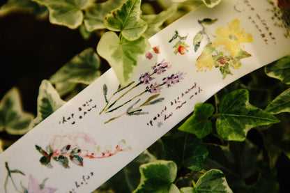 Washi Tape | Message (4cm)