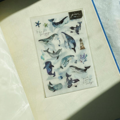 Transfer Stickers | whale
