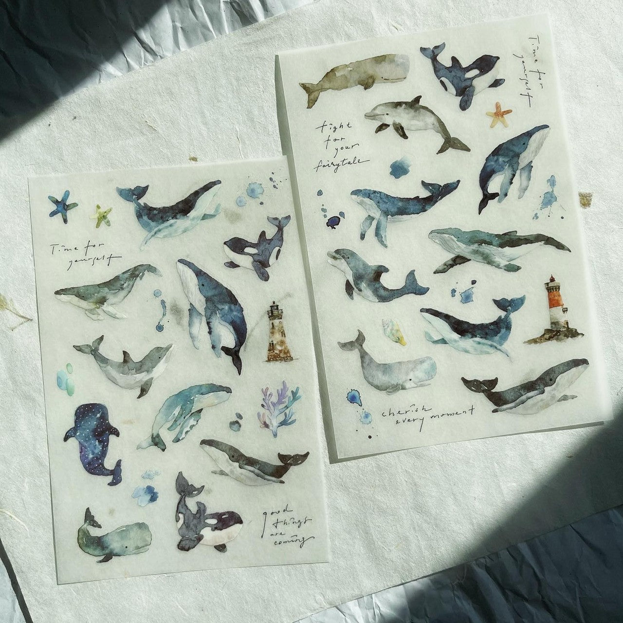 Transfer Stickers | whale