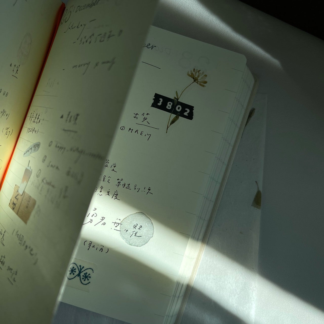 Transfer Stickers | Writing