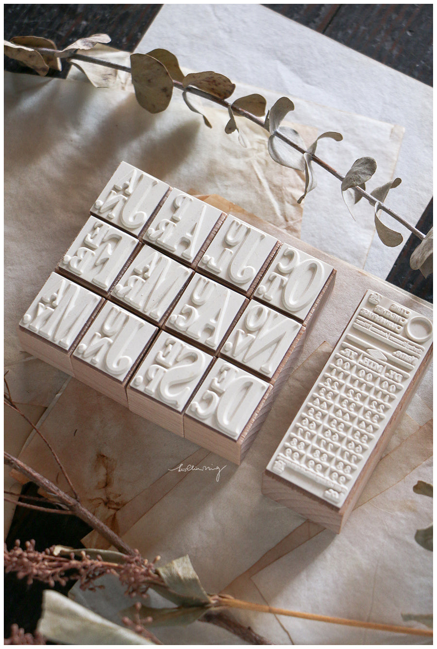 (PRE ORDER) Stamps Set | Ticket Stamp Set A (set of 13)
